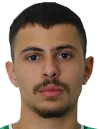 Mohammadali Shakiba