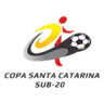 Copa Santa Catarina logo