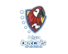 Liga Nacional logo