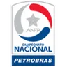 Primera División logo